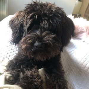 Meet your Posher, Warwick